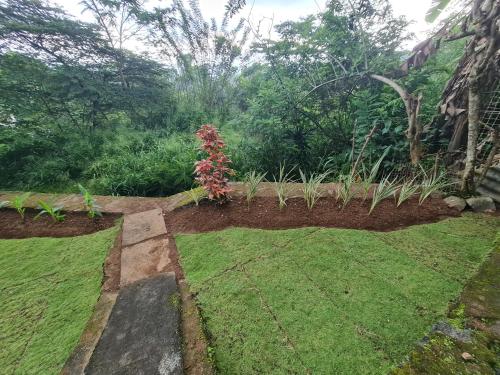 Ein Garten an der Unterkunft Hello Kandy Homestay