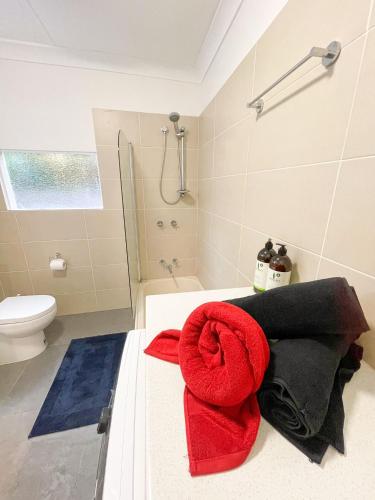 a bathroom with a red towel laying on a counter at Melbourne Guest House with Parking and Courtyard in Melbourne