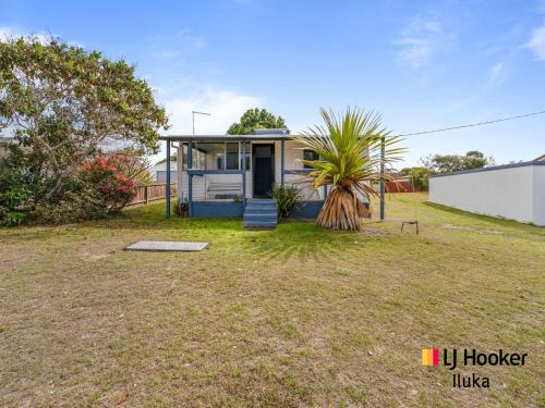 a house with a palm tree in a yard at Fisherman's Cottage in Iluka