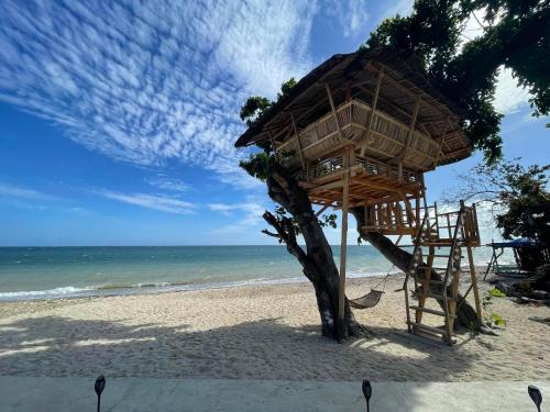 a tree house on a beach with the ocean at D' Beach Resort in Puerto Princesa City