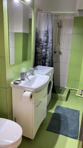 La salle de bains est pourvue d'un lavabo, de toilettes et d'une douche. dans l'établissement Focus Hun 2, à Miercurea-Ciuc