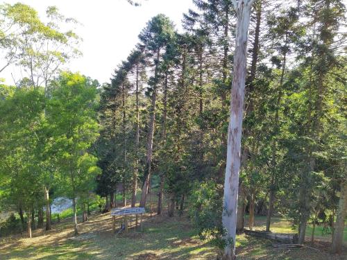 a park with a bench in the middle of trees at "On Burgum Pond" Cottages in Maleny