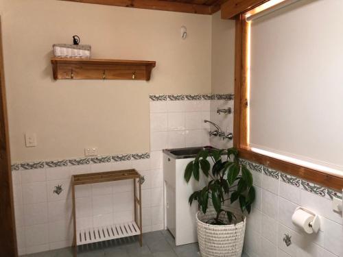 a bathroom with a sink and a plant in it at Copeland Cabins in Copeland