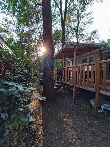 une cabane en bois avec un arbre et le soleil brillant sur elle dans l'établissement Mobil-home familial 3 chambres, à Saint-Brévin-les-Pins