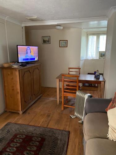 ein Wohnzimmer mit einem Sofa, einem Tisch und einem TV in der Unterkunft cottage a la ferme in Lengronne
