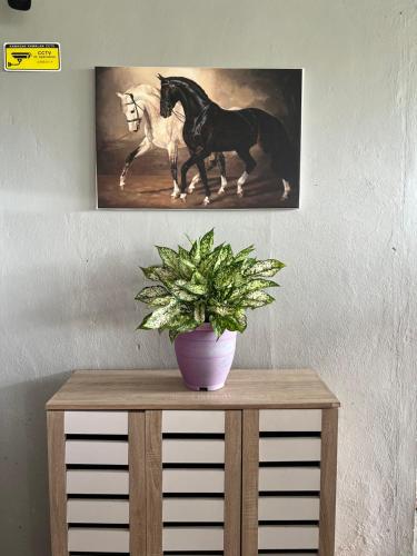 a painting of two horses running on a table at JL Homestay Taman Pertama Satu in Lahad Datu