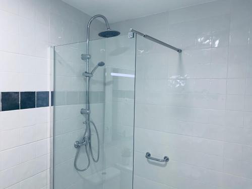 a shower with a glass door in a bathroom at NUEVOS DUPLEX PRINCIPE VERGARA in Madrid