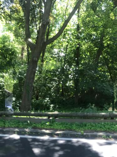 Φυσικό τοπίο κοντά σε αυτό το δωμάτιο σε οικογενειακή κατοικία
