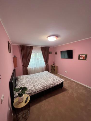 una camera con letto, tavolo e TV di Apartament Ingrid a Piatra Neamţ