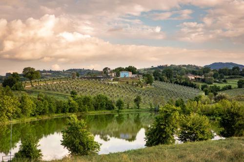 a view of a river with trees and a vineyard at Country House Oliveto sul Lago in San Nicolò