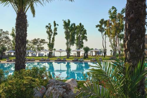 uma piscina com palmeiras e cadeiras em Ikos Odisia em Corfu Town