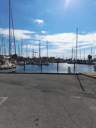 un port de plaisance avec de nombreux bateaux dans l'eau dans l'établissement La grande bleue, à Port-Leucate