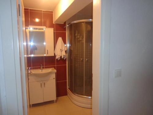 a bathroom with a shower and a sink at çiftlik tepesi pansiyon in Kumluca