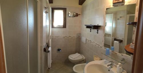 Saludecio的住宿－Agriturismo Papaveri e Papere，一间带卫生间和水槽的浴室