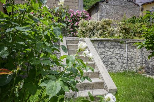 a set of stairs in a garden with flowers at Orsini: tre camere da letto, 2 bagni in Luco dei Marsi