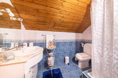 un bagno con un water, un lavandino e una vasca di Lombo Cesteiro Guesthouse a Tábua