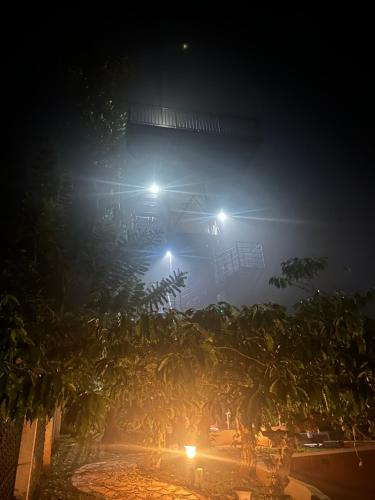 a foggy night with palm trees and street lights at SylVan Resort in Wayanad