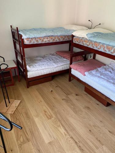 a room with three bunk beds and a wooden floor at Gelgia Sommer-Salis in Bivio