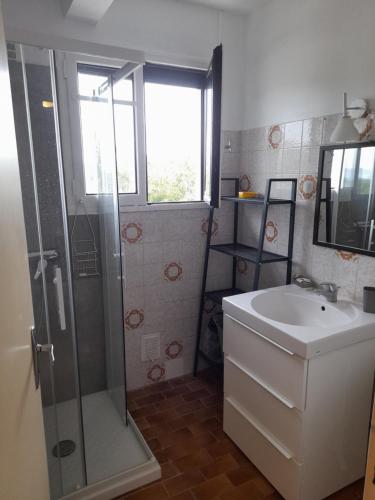uma casa de banho com um chuveiro e um lavatório. em Villa Détente Dauphinoise em Saint-André-le-Gaz