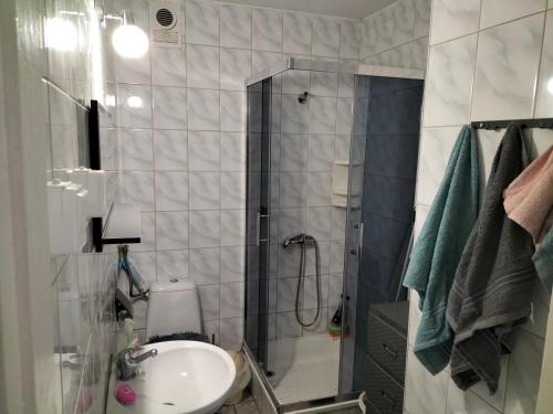 ein Bad mit einer Dusche und einem Waschbecken in der Unterkunft Leśna Chata kuracyjna z sauną w Borach Tucholskich in Bielska Struga