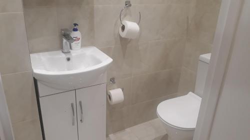 a bathroom with a white sink and a toilet at Luxury studio flat in London