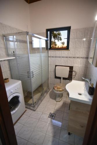 a bathroom with a washing machine and a sink at Casa Frasta in Tzoumerka in Frásta