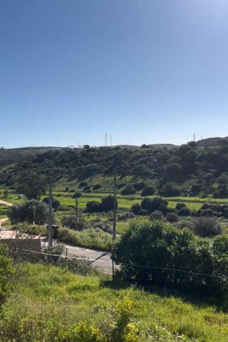 a view of a field with bushes and trees at Maison Algarve in Mexilhoeira Grande
