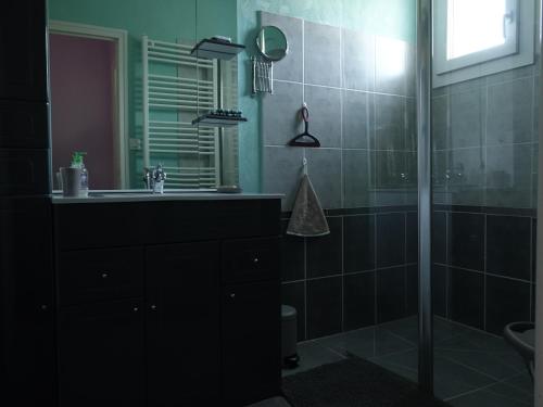 uma casa de banho com um lavatório e um chuveiro em LES GRADINES em Bar-sur-Aube