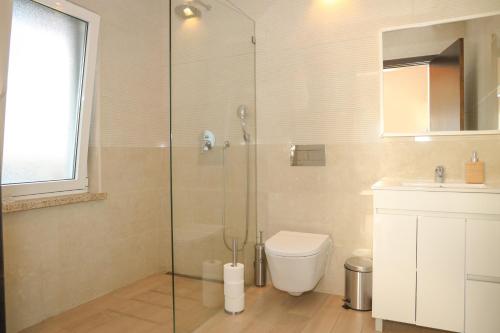 a bathroom with a shower and a toilet and a sink at I Love Dão Casas Da Fraga in São Gemil