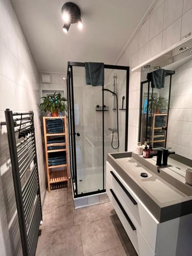 a bathroom with a shower and a sink at Het Verwende Nest met privé Hottub & tuin in Voorthuizen