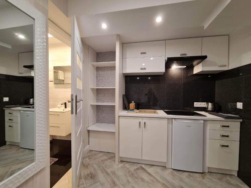 Η κουζίνα ή μικρή κουζίνα στο Apartamenty Hayduk