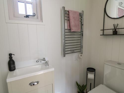 a bathroom with a sink and a mirror and a toilet at Dragonfly Shepherd's Hut in Aberaeron