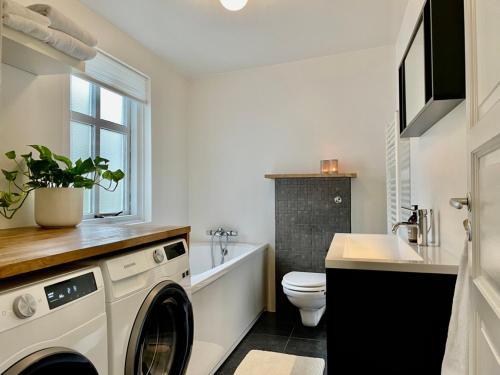 uma casa de banho com uma máquina de lavar roupa, um WC e um lavatório. em Cozy Central Hafnarfjörður - Reykjavík zone em Hafnarfjördur