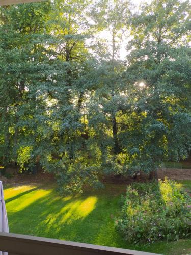 Afbeelding uit fotogalerij van studioleyme in Leyme