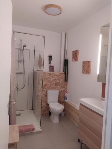 a bathroom with a shower and a toilet and a sink at studioleyme in Leyme