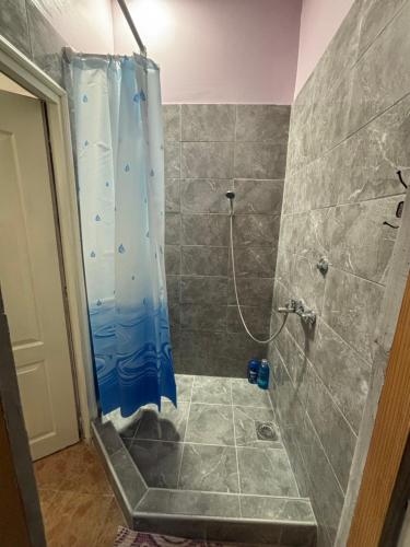La salle de bains est pourvue d'une douche avec un rideau de douche bleu. dans l'établissement Apartman Stil, à Kruševac