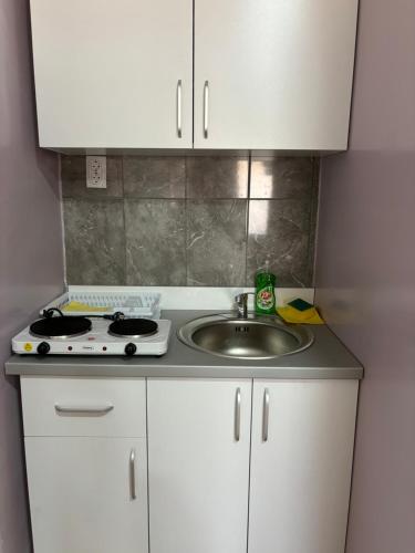 a small kitchen with a sink and a stove at Apartman Stil in Kruševac
