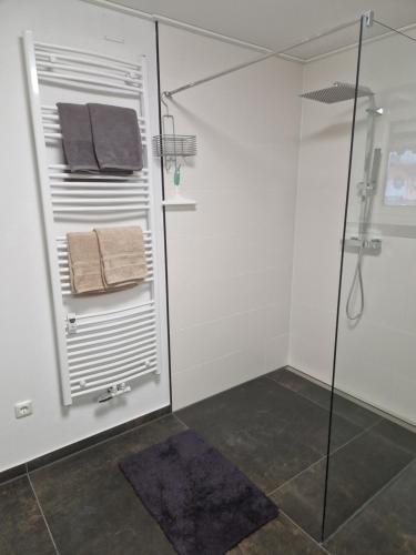 een badkamer met een douche en een glazen douchecabine bij Ferienwonung in Pullenreuth