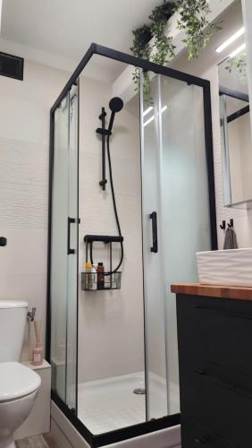 a glass shower in a bathroom with a toilet at Studio Bellevue 35 avec balcon in Albi