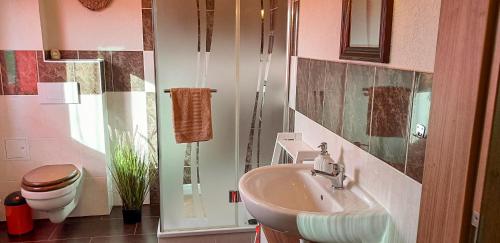 een badkamer met een wastafel en een toilet bij kleines Ferienhaus am Feldrand in Malchow