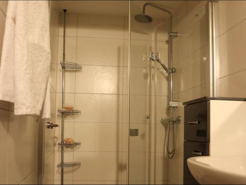 y baño con ducha y puerta de cristal. en Ferienwohnung Fachwerk 44, en Frielendorf