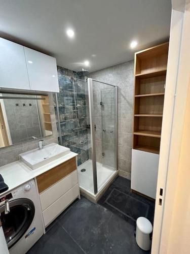 une salle de bain avec une douche, un lavabo et des toilettes dans l'établissement Splendid 92m2 Renovated, 4 Rooms, à Charenton-le-Pont