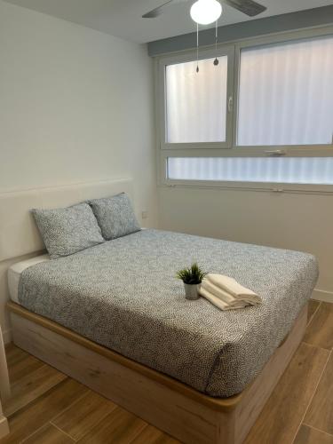 Un dormitorio con una cama con una planta. en BERNABEU/ C.UNIVERSITARIA APARTMENTS, en Madrid