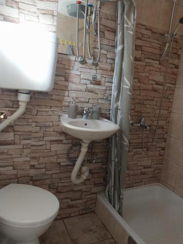 ein Badezimmer mit Waschbecken, Toilette und Dusche in der Unterkunft Vikendica Jovanovic in Foča