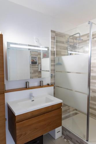 a bathroom with a sink and a mirror at Résidence La Canonnière in Le Diamant