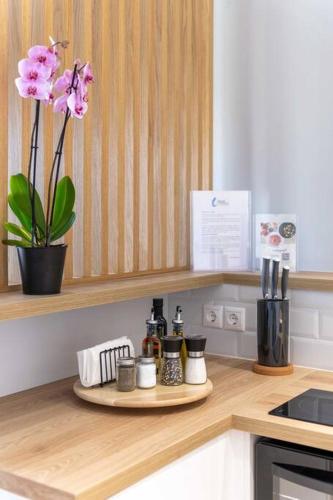 The HostMaster Vista Loft