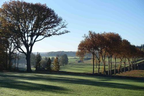 a tree in a field with trees in the background at Château de La Rivière in Pontgouin