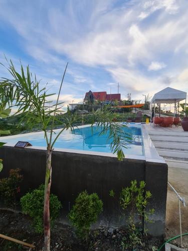 a small palm tree next to a swimming pool at Guillen Plantaciones Resort Farm in Cebu City