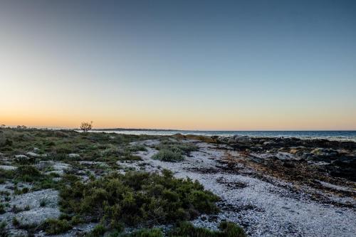 a beach at sunset with a tree in the distance at Forever Blue in St Helena Bay