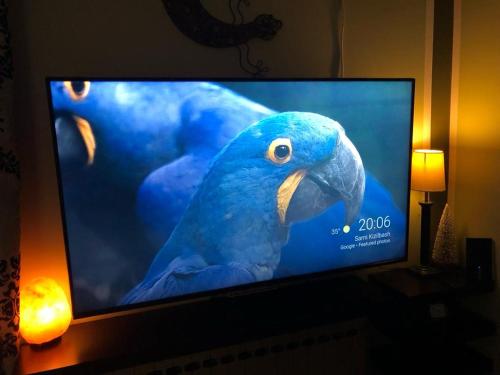 a flat screen tv with a blue parrot on it at Amazing apartment with view! in Piraeus
